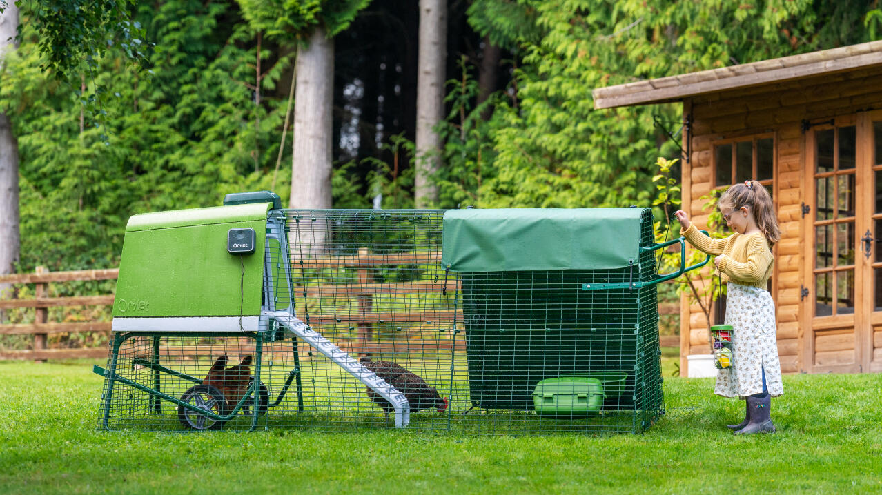 little girl next to the portable Eglu Go Up chicken