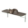 cat resting in an outdoor cat shelf for a catio