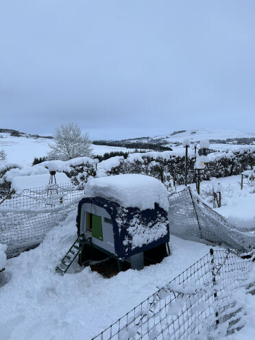 Eglu in winter