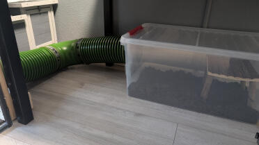 Tunnel for the digging box 