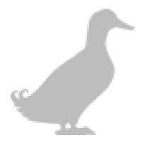 Crested Miniature