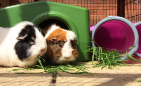 Having a rest and munch after a run around!